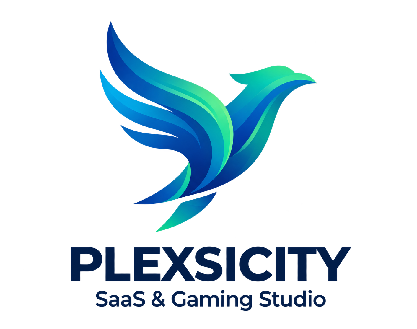 Plexsicity — SaaS & Gaming Studio